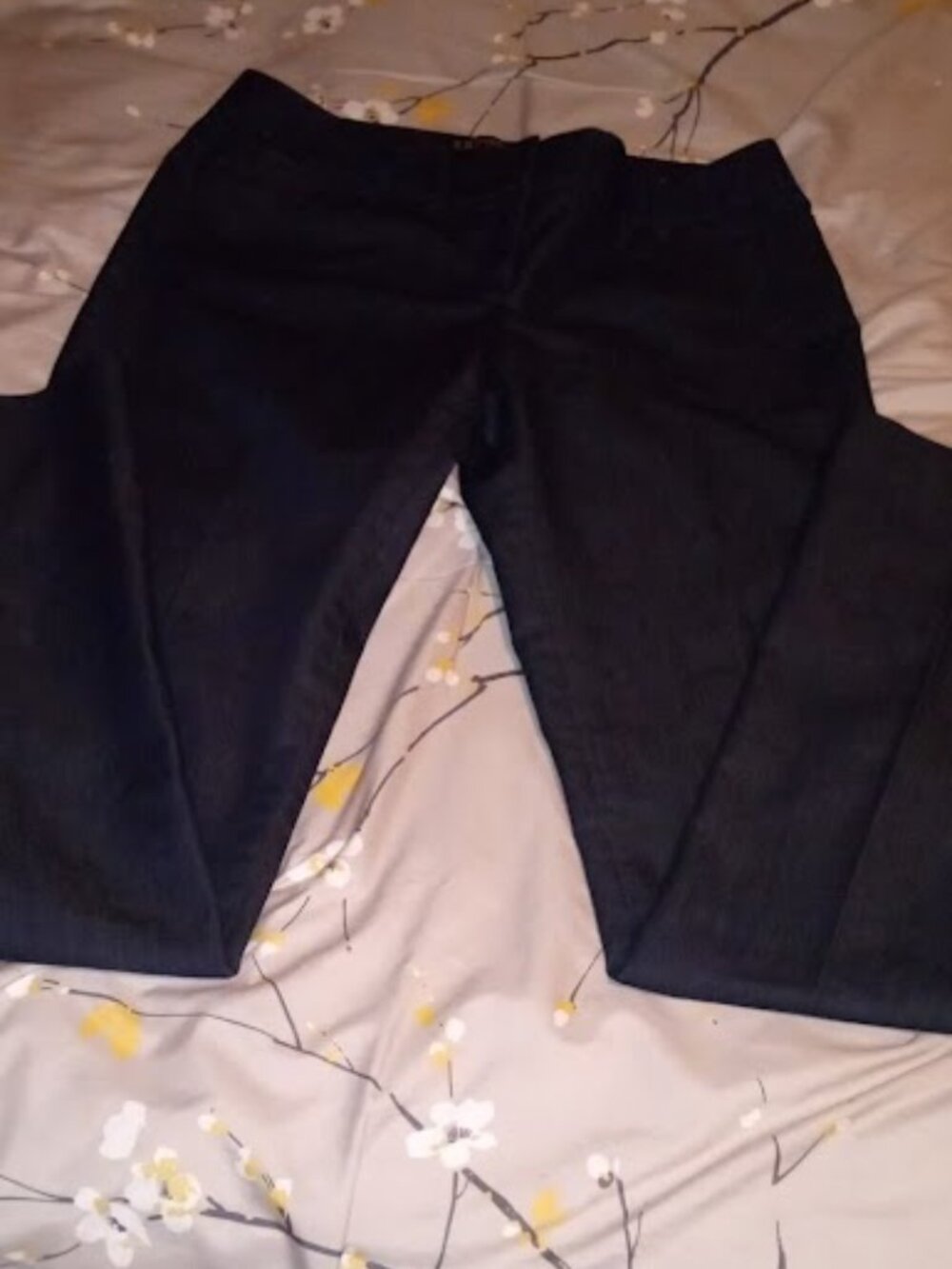 Express columist pants 2 navy 8 rise 31 inseam stretch